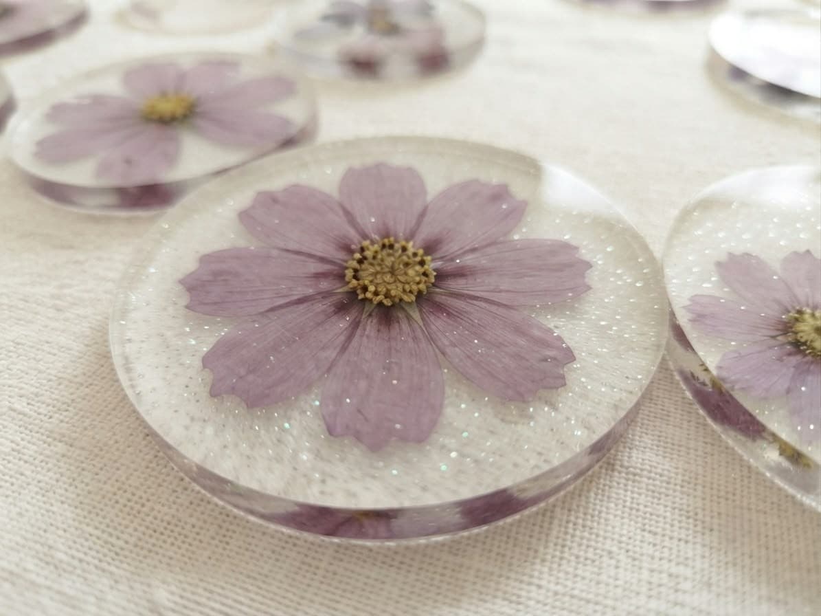 Cosmos Pearl Dreamy coasters